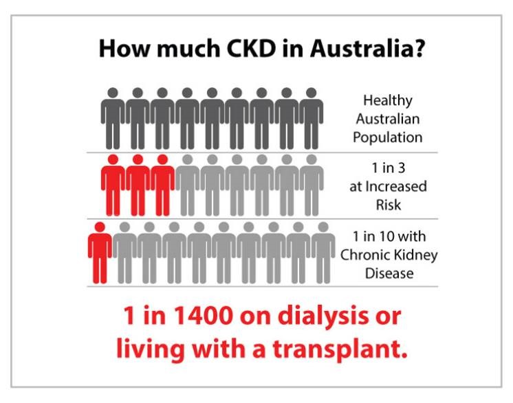 CKD_Australia_2